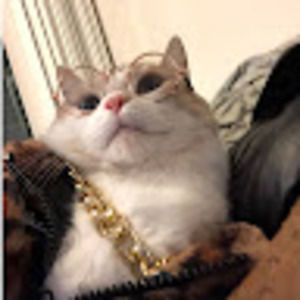 Meet your Posher, Tonya